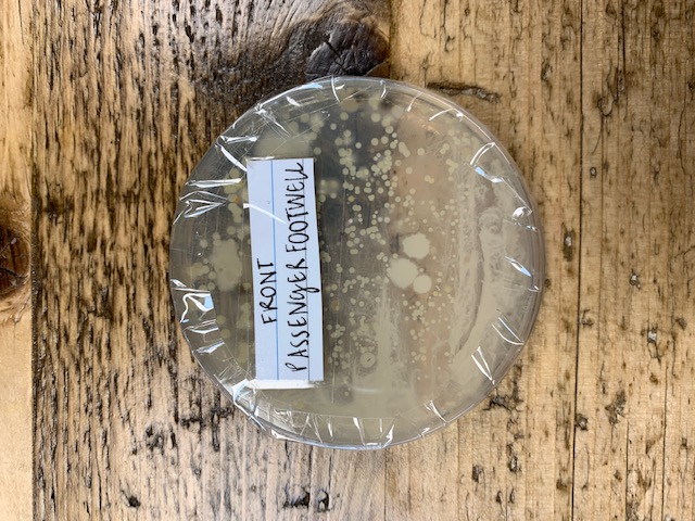 Day 5 Passenger Footwell Germs