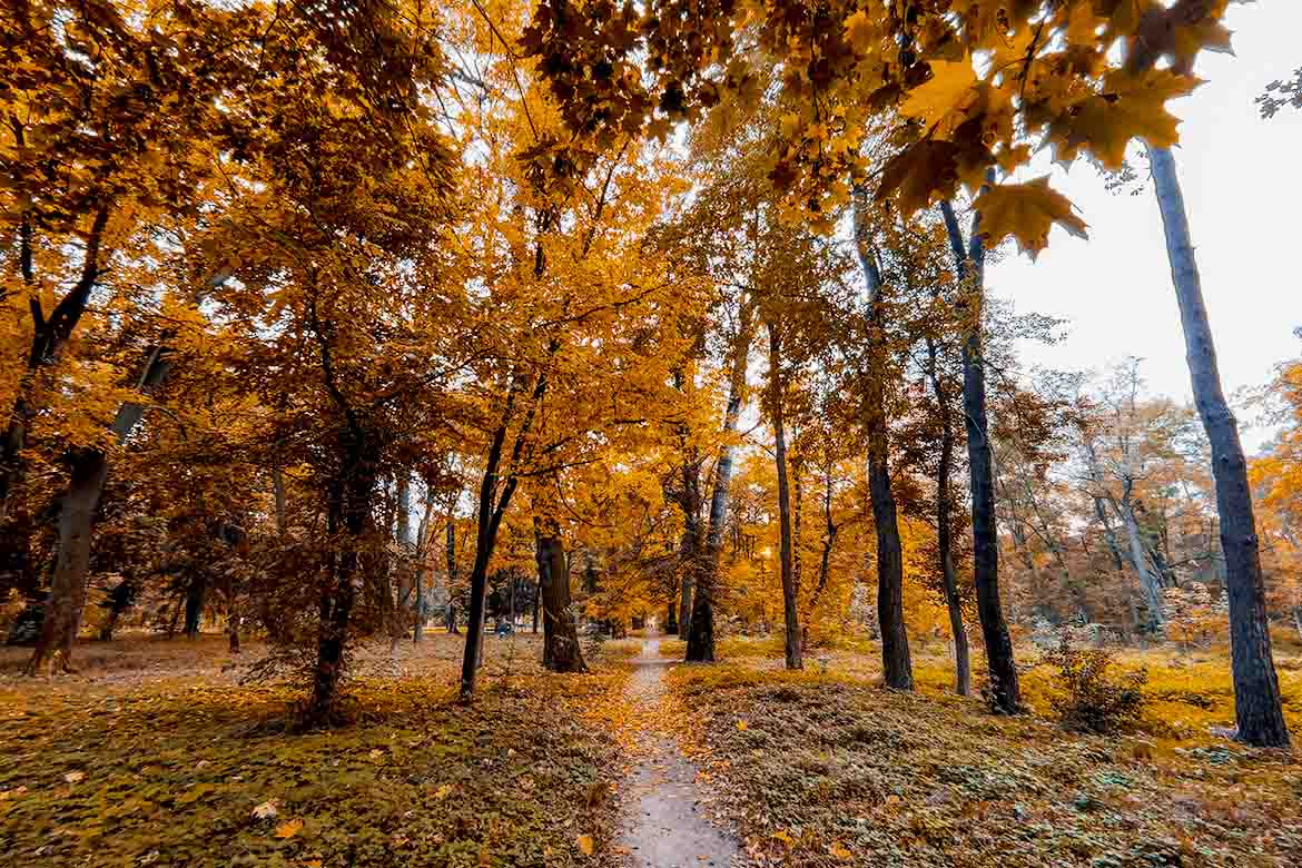 International Day of Charity - John Tracey